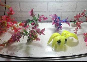 Akwarium i terarium 60 litrów profilowe