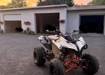 Quad kayo tor 250