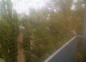 Zakładanie siatek na balkon bez wiercenia Warszawa Siatka Na Balkon Kot Zakładanie siatek na balkon bez wiercenia Warszawa Siatka Na Balkon Kot