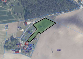 Duża działka 6000 m² w Demlinie – spokój, natura i szybki dojazd do miasta.