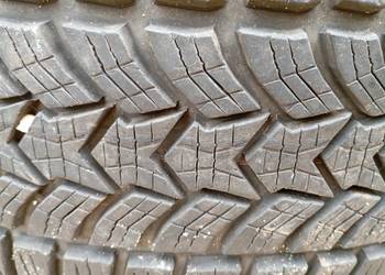 Opony zimowe Dębica frigo