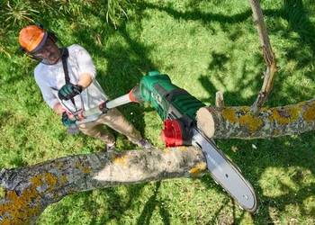 Teleskopowa piła łańcuchowa okrzesywarka do 4 m 20V