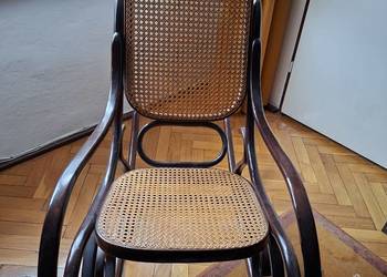 Fotel bujany