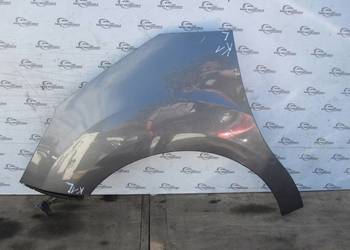 CITROEN C3 II 10r błotnik lewy przód 40 mikronów