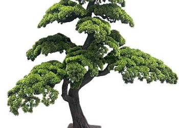 Sztuczne drzewko Bonsai Premium 170x110x180