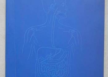 Gastroenterologia. Ilustrowany podręcznik