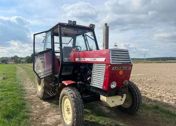 Ursus c385