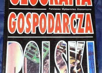 Geografia gospodarcza Polski - Irena Fierla