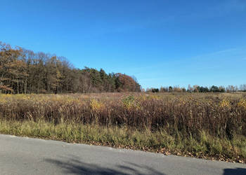 Działka Nowy Staw 14371m2