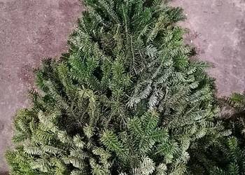 Wieńce wiązanki stroisz jodłowy