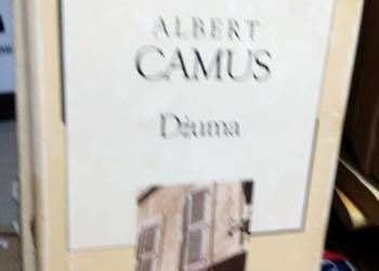 Camus książki Dżuma antykwariat internetowy
