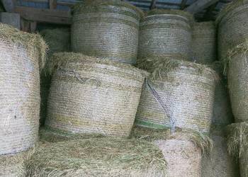 Siano. Słoma. Sianokiszonka. Bele siana słomy