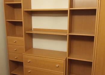 Regał młodzieżowy w kolorze olchy ZA DARMO