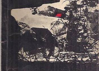 ŻÓŁTY TYGRYS - WILCZA JAMA - KACZYŃSKA D. WIŚNIEWSKA M.