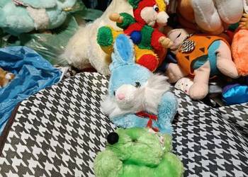 myszki króliczki zabawki pluszowe maskotki pluszaki