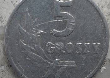 POLSKA-5 GROSZY-1962 r (b.z.)-AL-