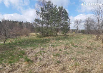 Oferta sprzedaży gruntu 1302 metry Nowy Bukowiec