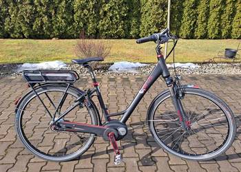 STAIGER SINUS BC50 / BOSCH / WYPRZEDAŻ -25%