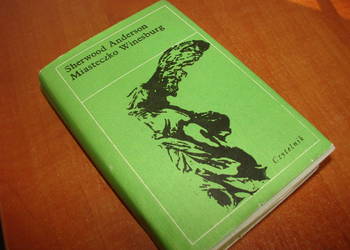 Miasteczko Winesburg - S. Anderson