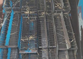 Wytrząsacz wytrząsacze kombajn zbożowy Fortschritt E512 E514 sita kosa