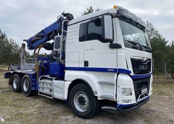 Do drzewa drewna lasu