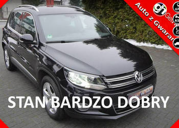 Volkswagen Tiguan 100tyś km Navi Kamera Stan Idealny 100%Bezwypadkowy Gwar…