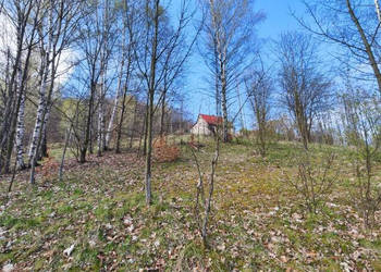Ziemia 2022m2 Piechowice