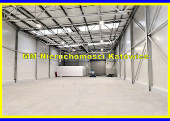 Wynajem lokalu Katowice 745m2