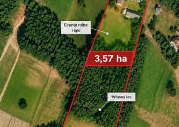Siedlisko 3,57 ha z zabudowaniami i własnym lasem – Siedlików k. Ostrzeszo…