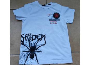 koszulka t-shirt z pająkiem świecąca your brand spider