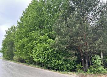 Sprzedam działkę rolną zadrzewioną 1550m2 przy trasie s19