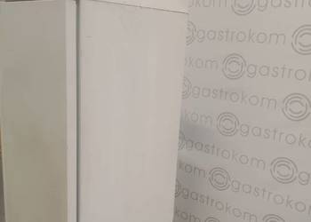 Szafa mroźnicza SN-500 S