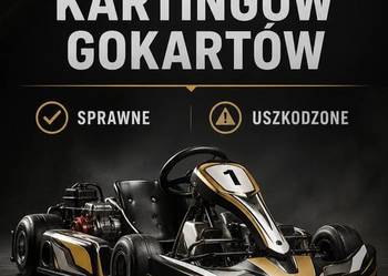 SKUP KARTINGÓW KARTING GOKART GOKARTÓW KARTINGI