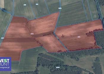 [7,25 ha] przetarg na dzierżawę gruntów rolnych