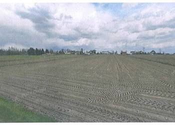 Syndyk sprzeda - działka niezabudowana Chełm Śląski (4853 m2).