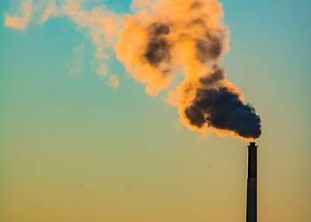 Rapor Kobize, Jarocin, Żagań, Pszczyna, Świecie, Bielsk Podlaski, Wałcz