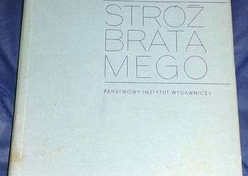 Stróż brata mego - Stanislaus Joyce