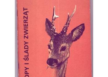 Tropy i ślady zwierząt - Chmielewski Albin Wiesław
