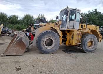 Ładowarka Hyundai HL 25 silnik 6 cummins turbo