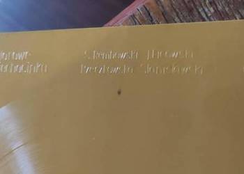 Rodowicz, Rin- Pocztówka dzwiękowa-jadą wozy kolorowe,na deptaku