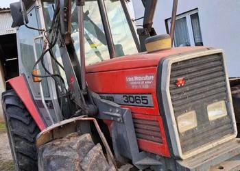 Ciagnik mf 3065 z ładowaczem turem