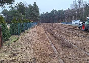 Wycinka drzew Czyszczenie działek Mulczowanie Karczowanie