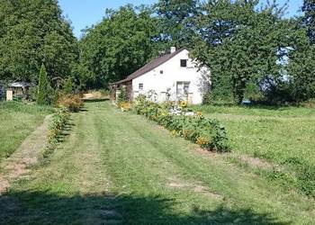 Domek działka siedlisko