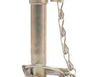 Sworzeń 19x113 mm kat.1