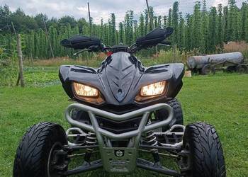 Kawasaki kfx 700 zarejestrowany