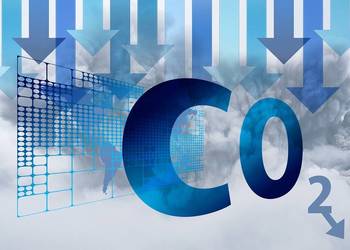 Raporty dnsh z ochrony środowiska, cennik, cena