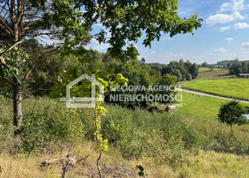 Działka 11494m2 Brodnica Górna