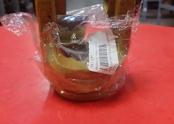 Widłak wewnętrzny 151015361