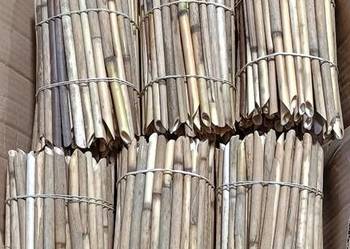 Trzcina, pszczoła murarka, słomki , faktura Vat RR, integrowana produkcja