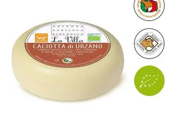 Organiczny Caciotta di Urzano to miękki ser  ,  ekologiczny